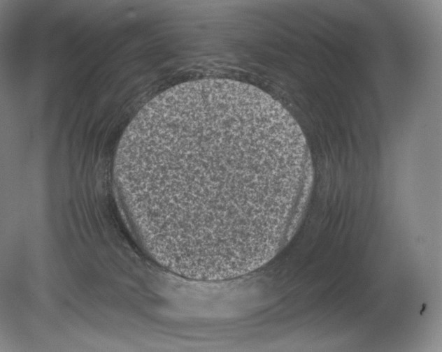 X0000078860034200612111659