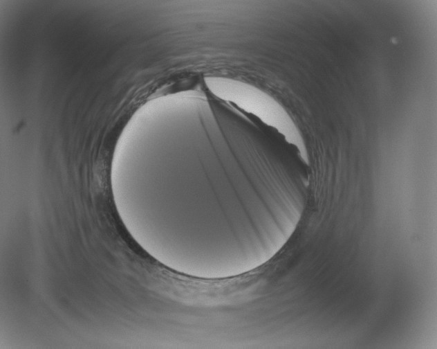 X0000078860035200612111659