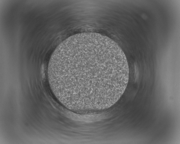 X0000078860038200612111659