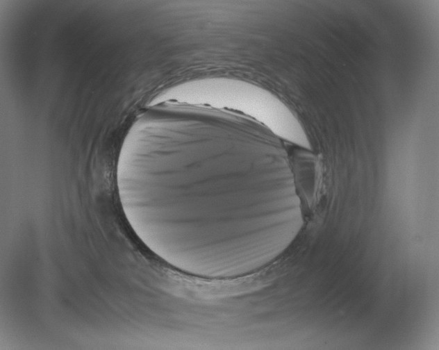 X0000078860039200612111659