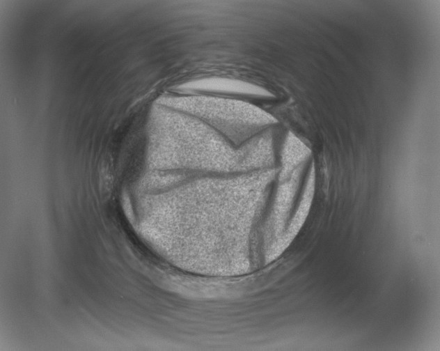 X0000078860040200612111659