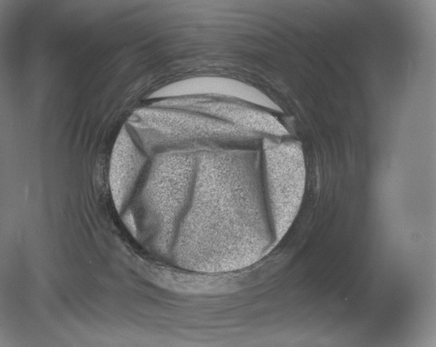 X0000078860044200612111659