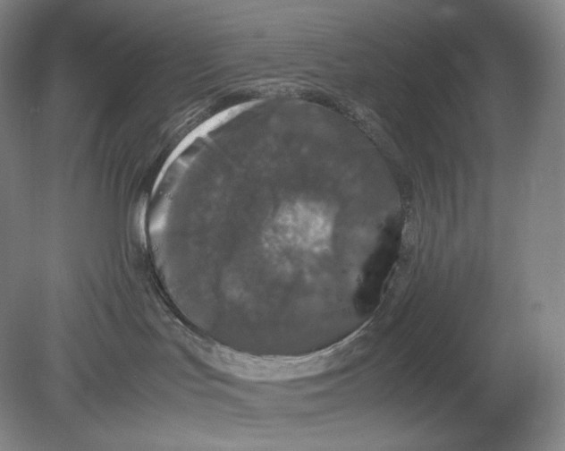X0000078860047200612111659