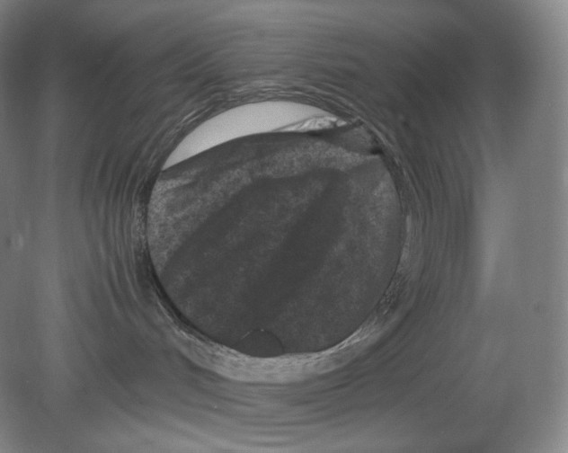 X0000078860048200612111659