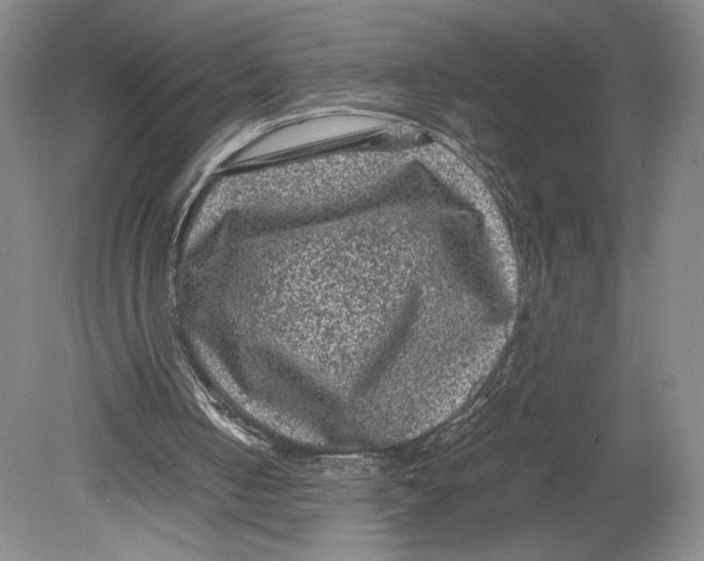 X0000078860050200612111658