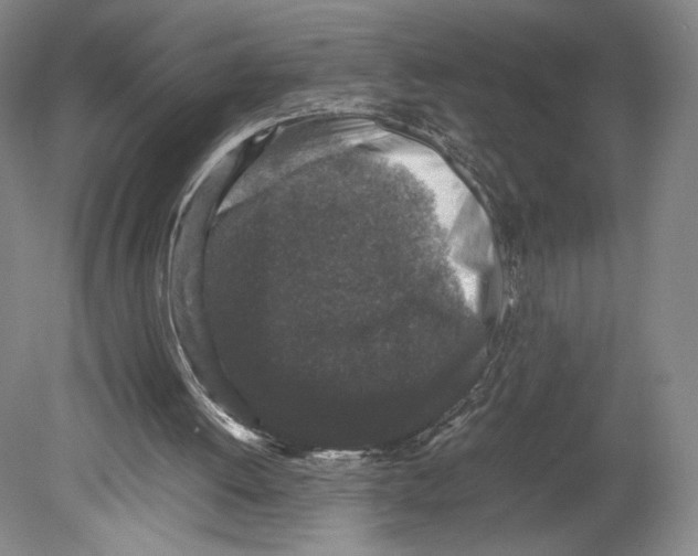 X0000078860052200612111658
