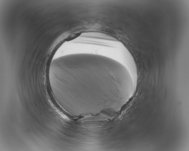 X0000078860054200612111658