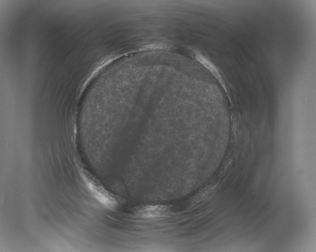 X0000078860059200612111658