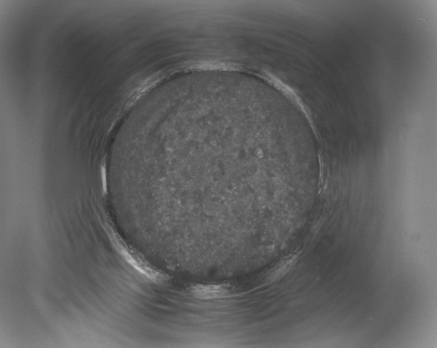 X0000078860061200612111658