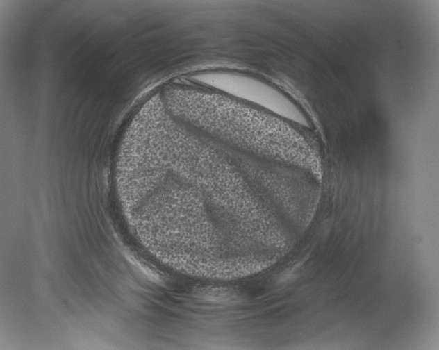 X0000078860063200612111658