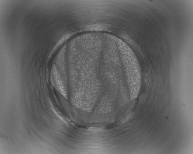 X0000078860064200612111658