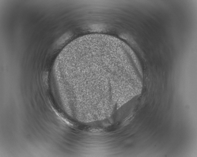 X0000078860066200612111658