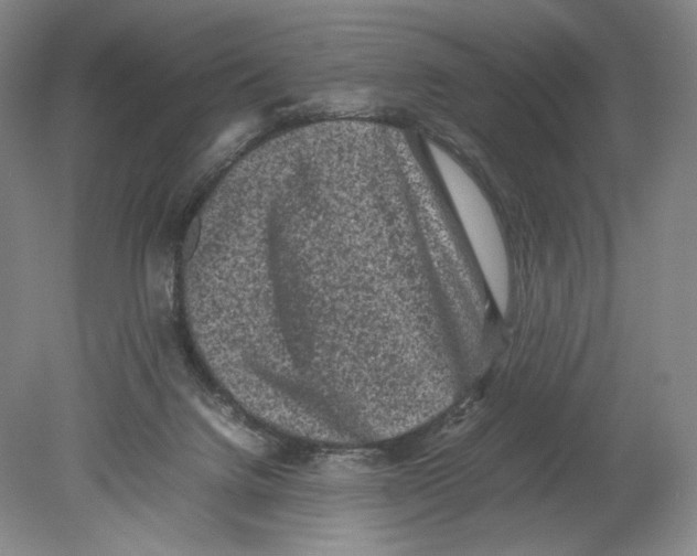 X0000078860072200612111658