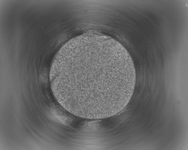 X0000078860078200612111658