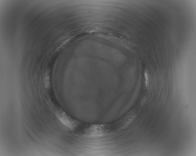 X0000078860080200612111658