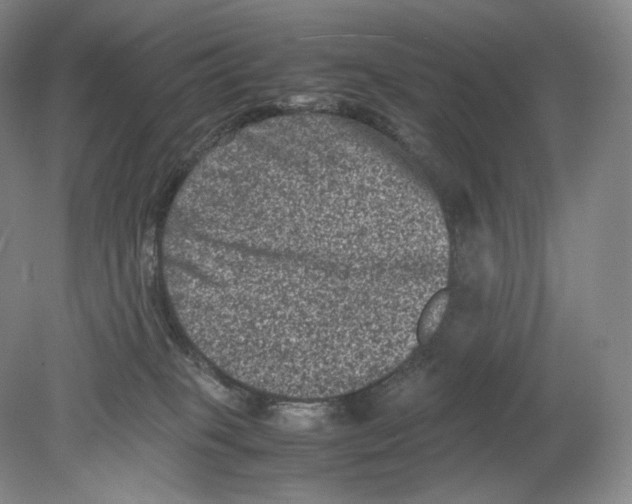 X0000078860085200612111659