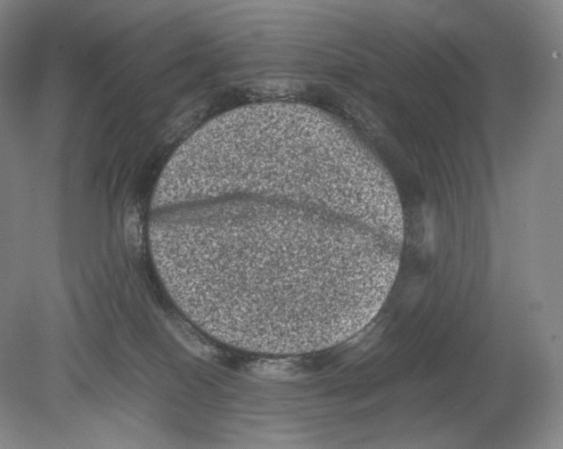 X0000078860086200612111659