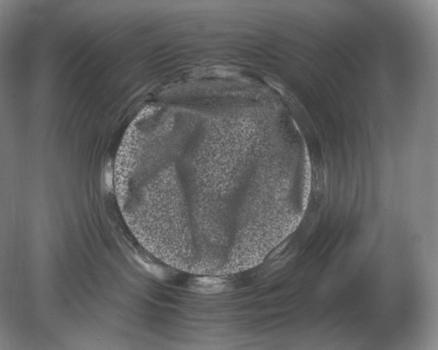 X0000078860095200612111659