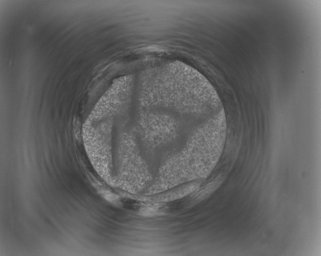 X0000078860096200612111659