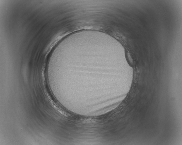 X0000078860098200612111658