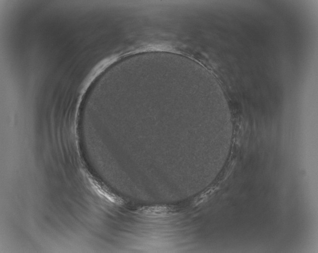 X0000078860104200612111658