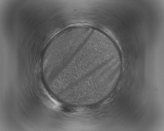 X0000078860105200612111658