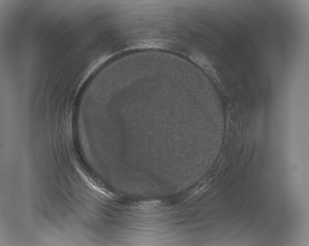 X0000078860108200612111658