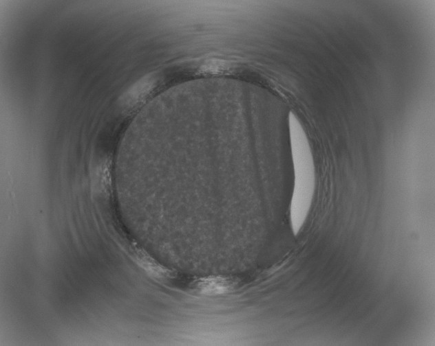 X0000078860127200612111657