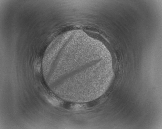 X0000078860129200612111657