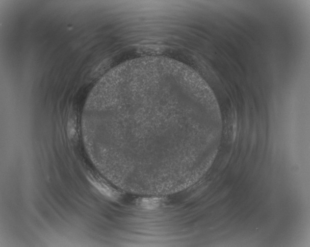 X0000078860134200612111657
