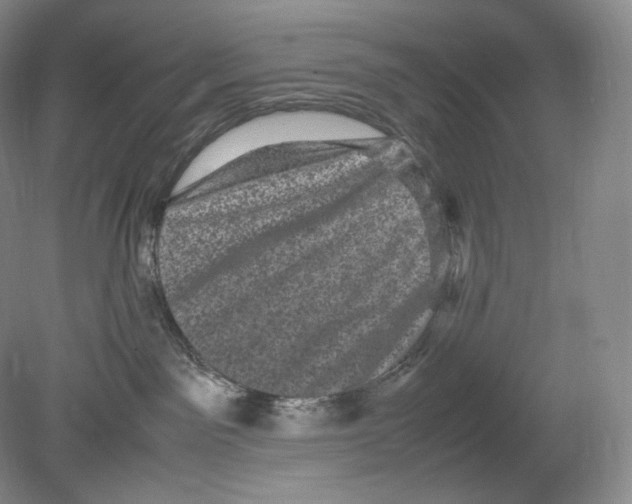 X0000078860141200612111657