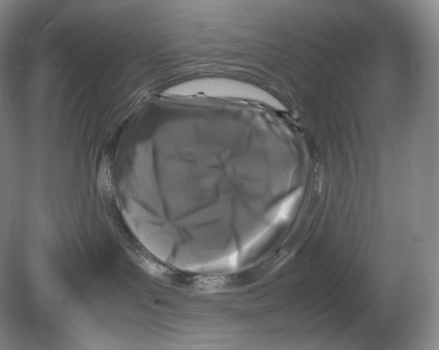 X0000078860143200612111657