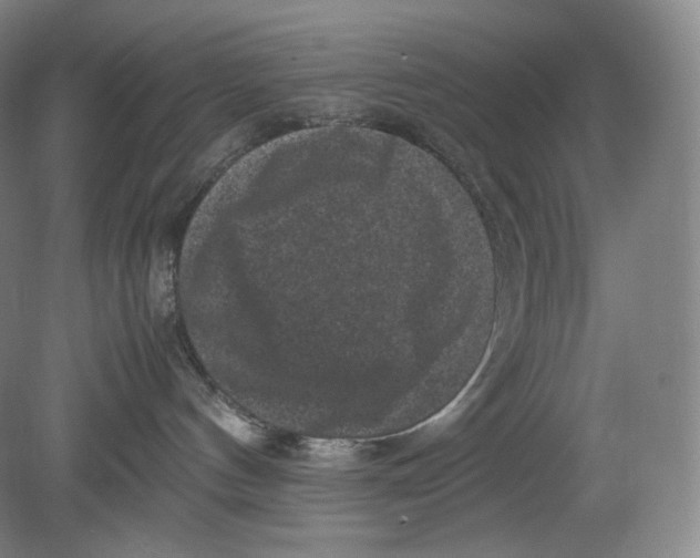 X0000078860144200612111657