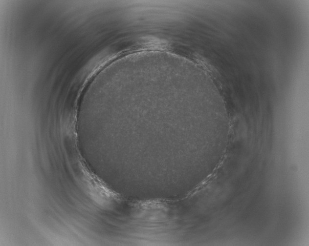 X0000078860146200612111656