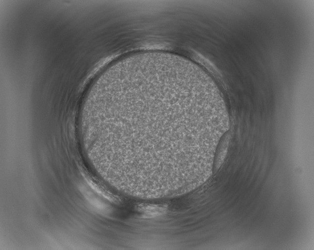 X0000078860155200612111656