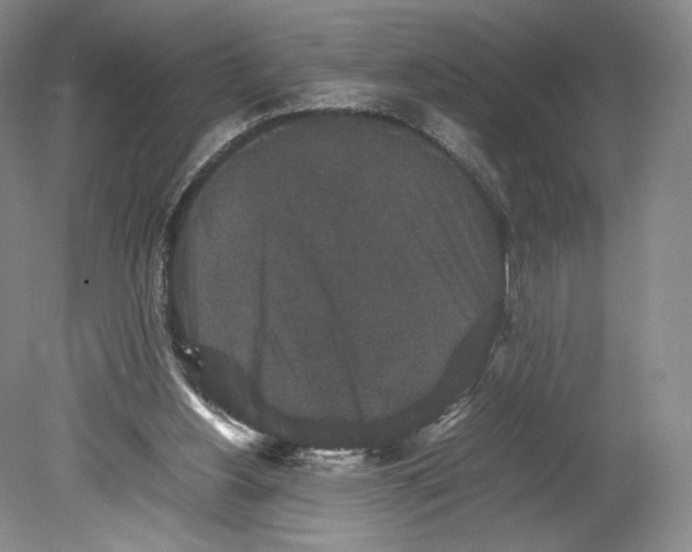 X0000078860156200612111656