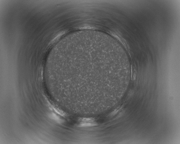 X0000078860157200612111656