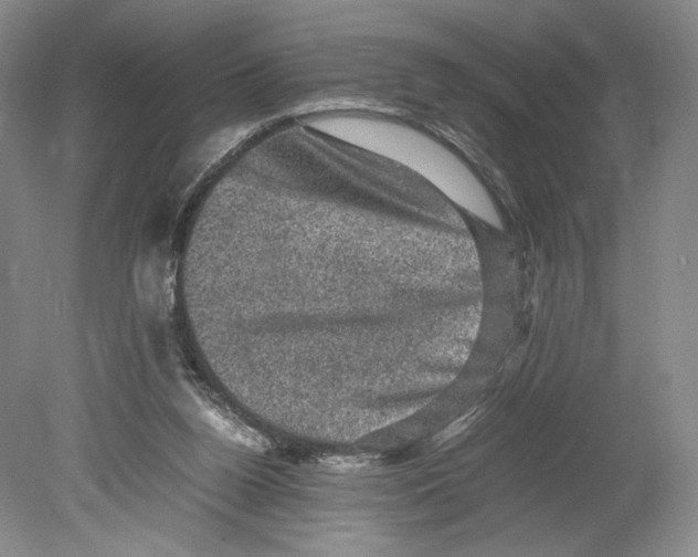 X0000078860160200612111657
