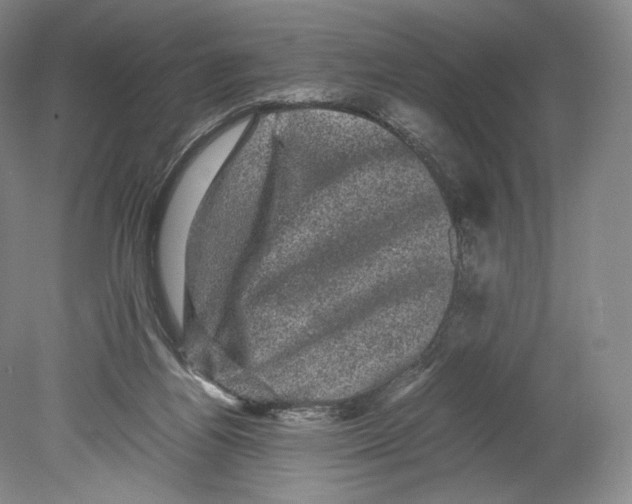 X0000078860164200612111657