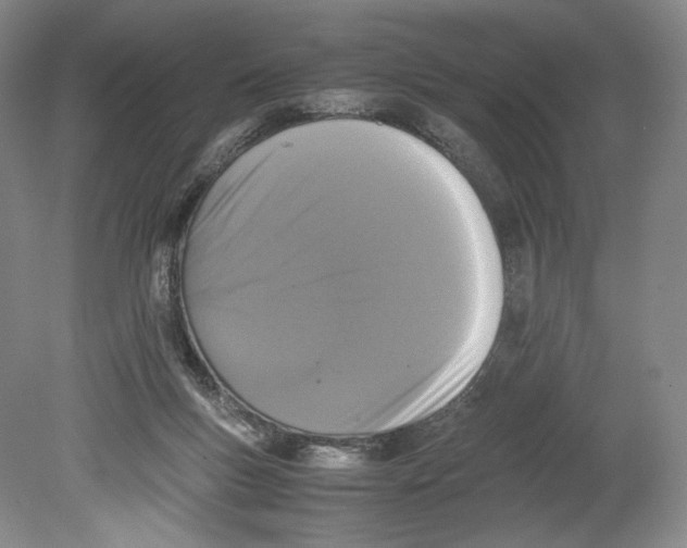 X0000078860167200612111657