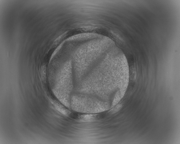 X0000078860184200612111657