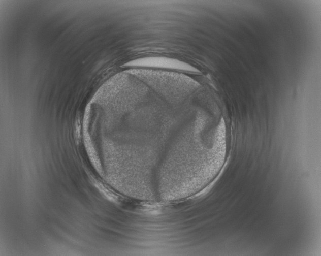 X0000078860190200612111657