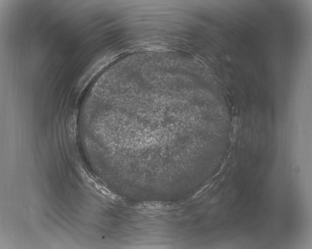 X0000078860194200612111656