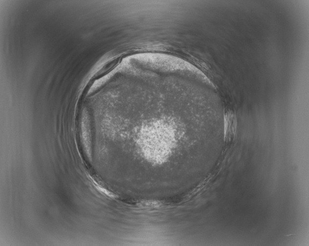 X0000078860195200612111656