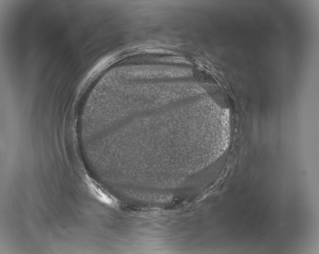 X0000078860197200612111656
