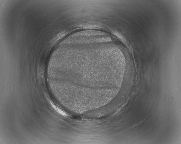 X0000078860201200612111656