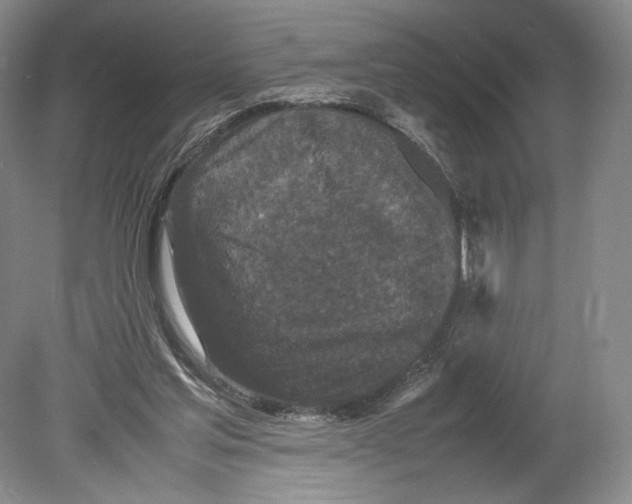 X0000078860205200612111656