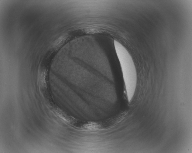 X0000078860219200612111656