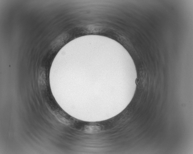 X0000078860220200612111656