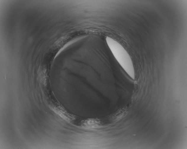 X0000078860223200612111656